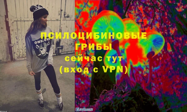 таблы Алексин