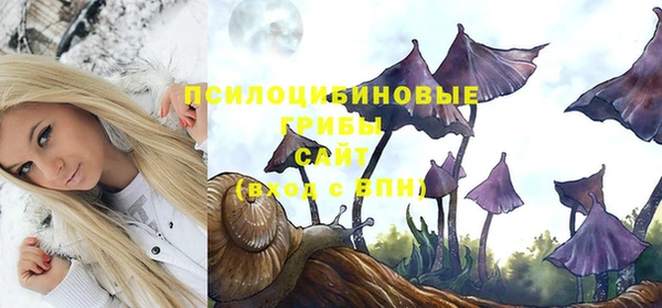 бошки Алексеевка
