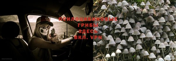 таблы Алексин