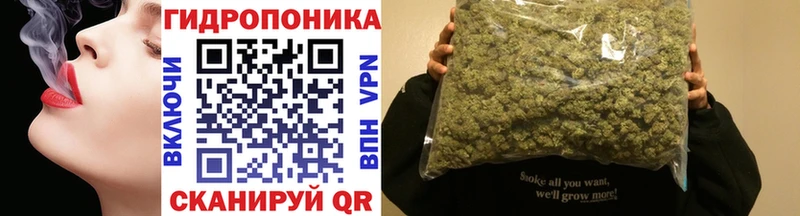 KRAKEN ССЫЛКА  Тверь  Шишки марихуана план  закладки 